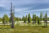 Scenic landscape of nature in Siberia