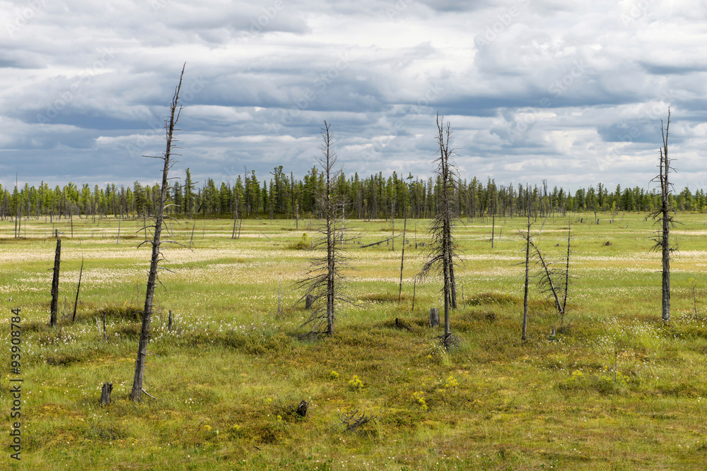 Scenic landscape of nature in Siberia Scenic landscape of nature in Siberia