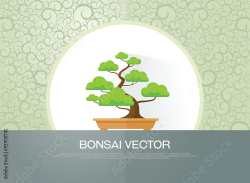 bonsai plant