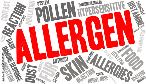Allergen Word Cloud