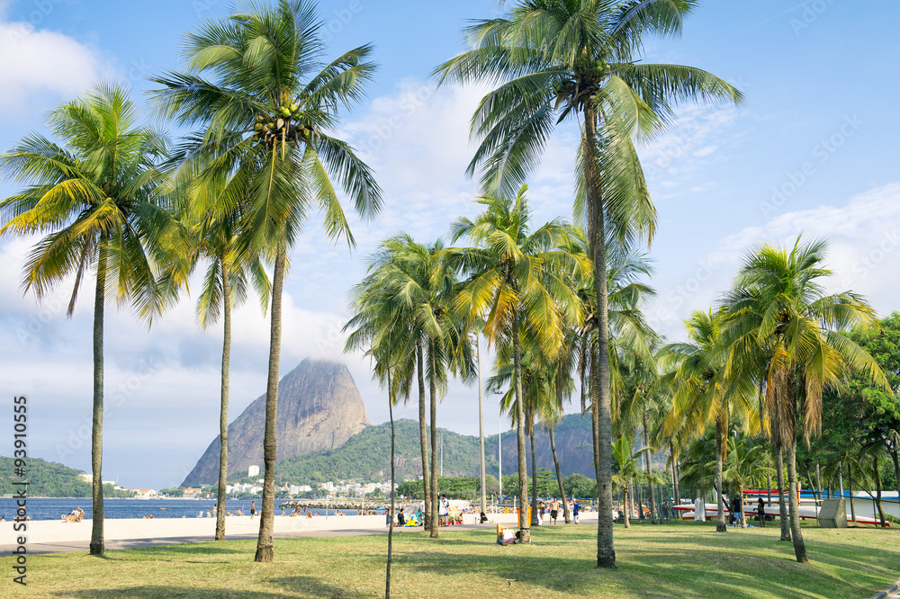 Scenic view of Flamengo Beach with palm trees in front of Sugarloaf Mountain in Rio de Janeiro, Brazil