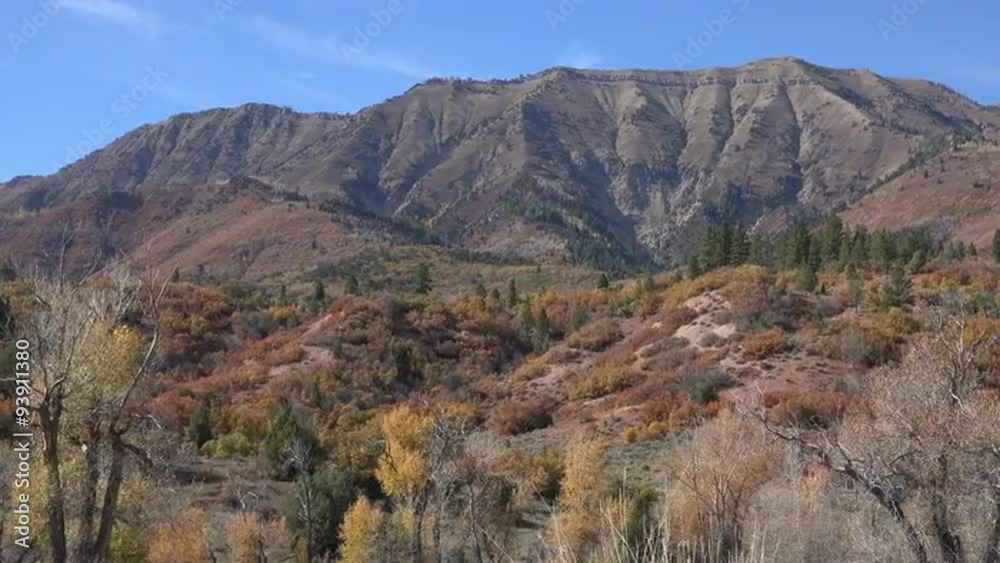 Autumn trees forest mountain Nebo peaks Utah 4K 019 Autumn trees forest mountain Nebo peaks Utah 4K 019