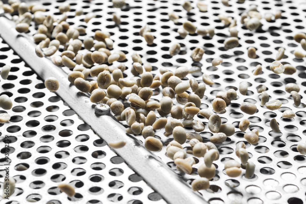 Obraz premium Kopi luwak coffee series : Coffee beans on sorter machine