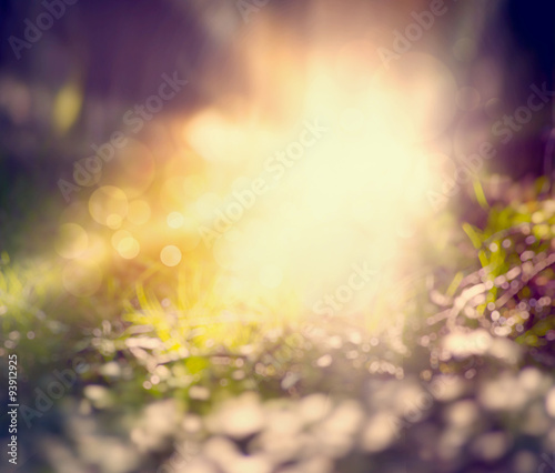 de focus Forest Blurred grass background with sunlight and bokeh toned © sergeyshibut