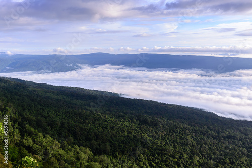 Morning mist with mountain in Phu Kradueng national park ,Loei Thailand.