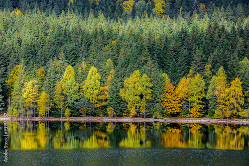 Autumn landscape. Lake in the morning reflection of trees in the water.