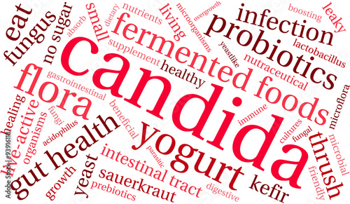 Candida Word Cloud