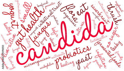 Candida Word Cloud
