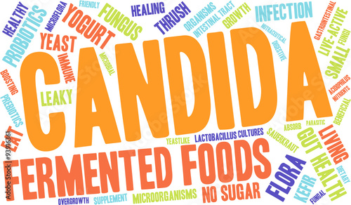Candida Word Cloud