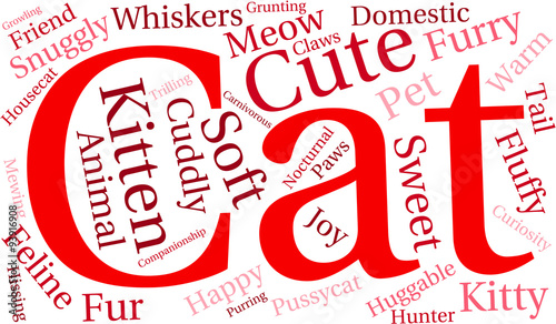 Cat Word Cloud