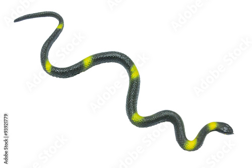 Black-Yellow Rubber Toy Snake Isolated On White