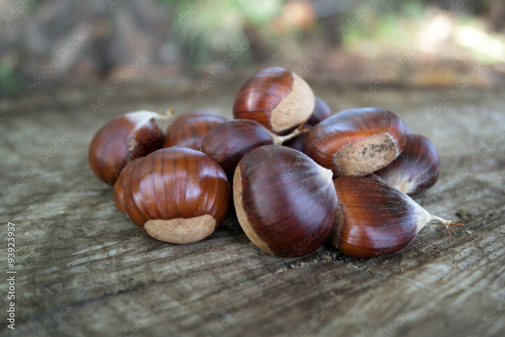 Obraz premium Castagne Compo 16