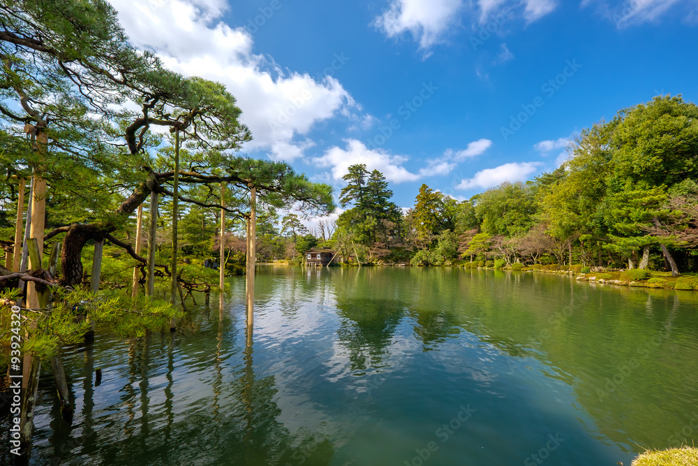 Obraz premium Japanese garden