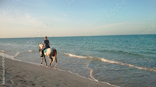 Quadro su tela cheval sur la plage 19102015