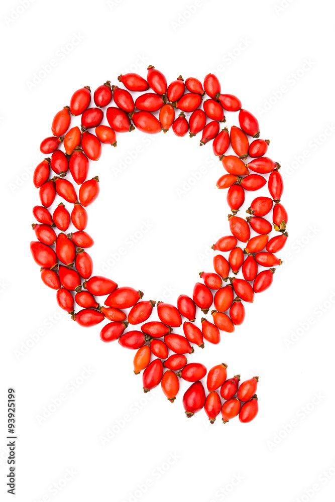 Red hip rose capital letter q Red hip rose capital letter q