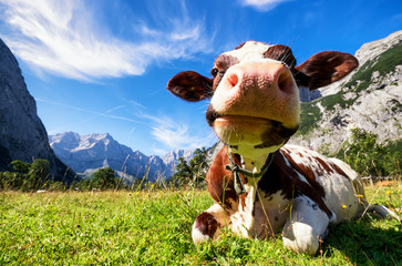 karwendel mountains