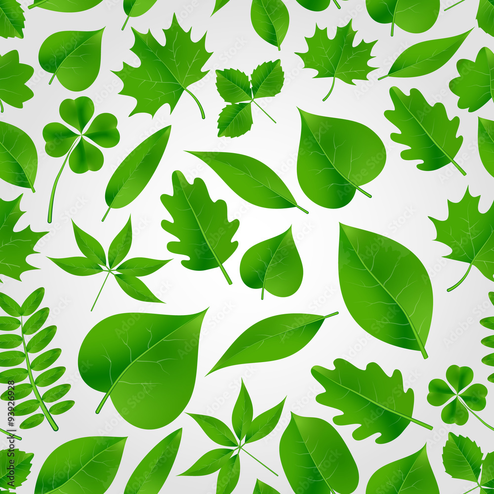 natural green beautiful leaves icon seamless fall pattern eps10