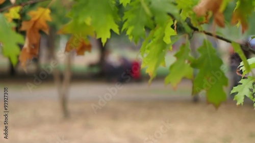 people walking in autumn park 