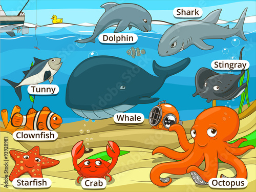 Underwater animals and fish with names cartoon 