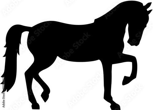 Horse silhouette