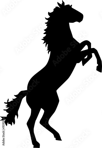 Horse rears up bronco