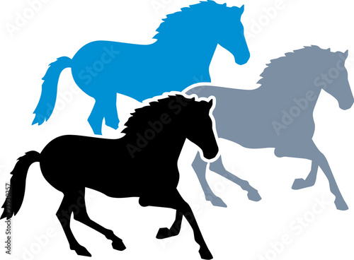 Three horses running fast