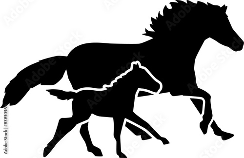 Mother horse and foal running