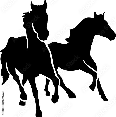 Two wild horses