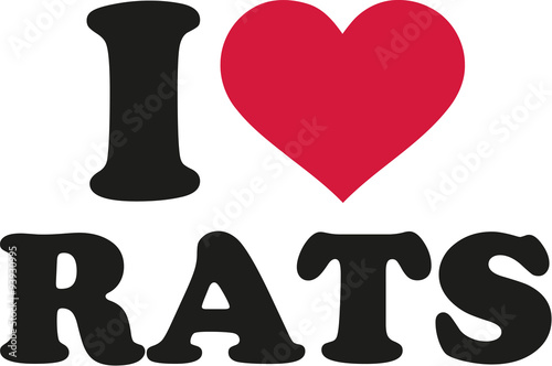 I love rats