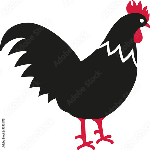Rooster cartoon with red crest