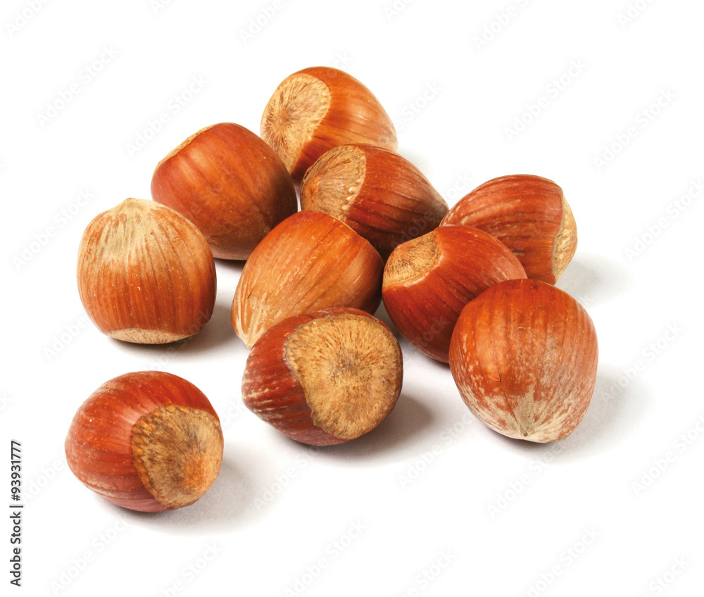 Hazelnuts isolated on a white background Hazelnuts isolated on a white background