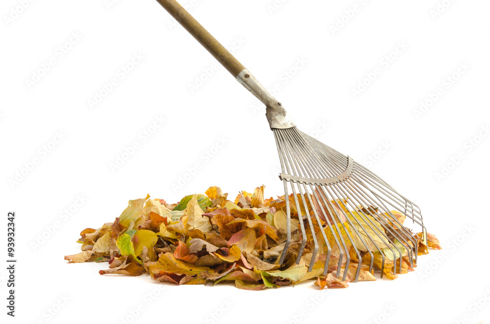 Obraz premium Laubrechen und Herbstlaub