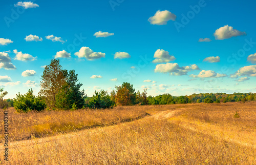 field road on dry meadow