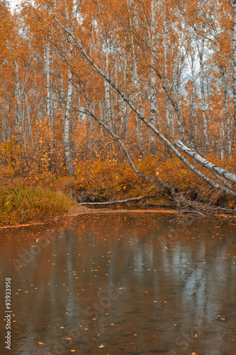Autumn riverin taiga