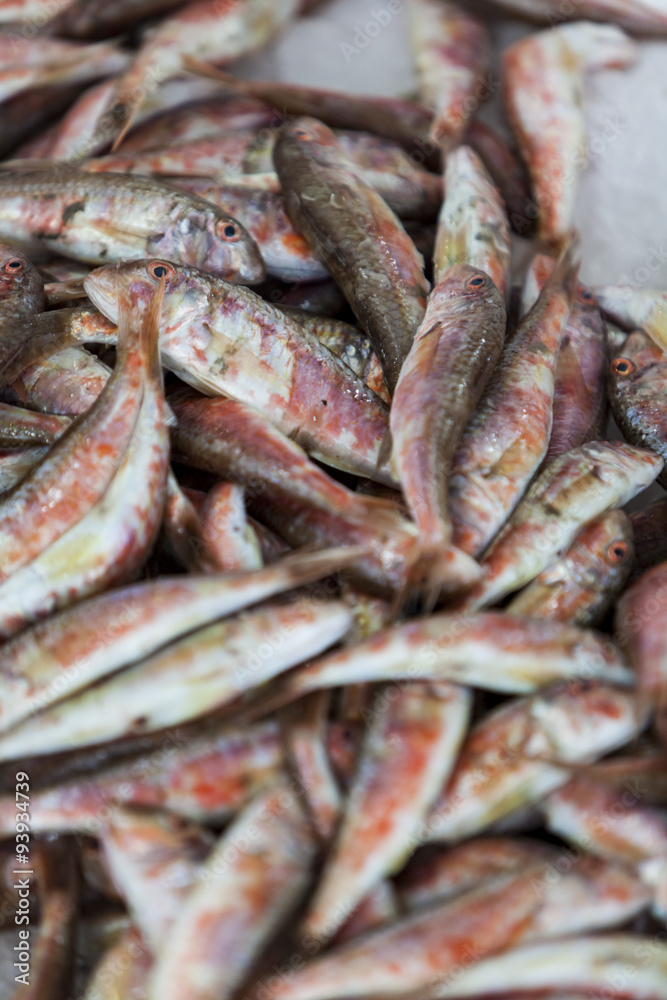 Fresh seafood Fresh seafood