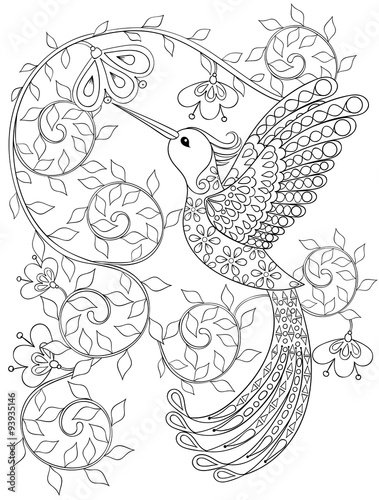 Coloring page with Hummingbird, zentangle flying bird  for adult