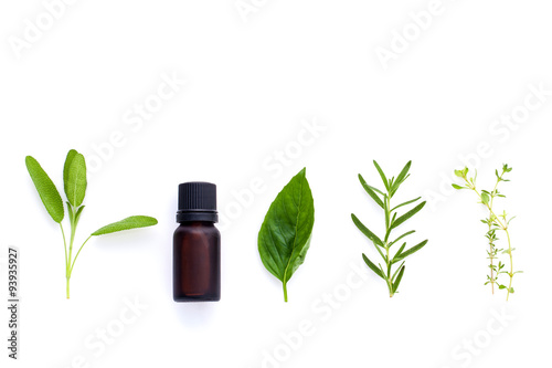 Bottle of essential oil with herb holy basil leaf, rosemary,oreg