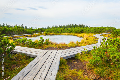 Landscape of Lovrenc lakes with wooden walking trails on Rogla mountain, Slovenia, Europe.