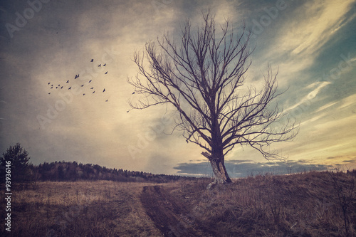 Gloomy autumn landscape in vintage processing