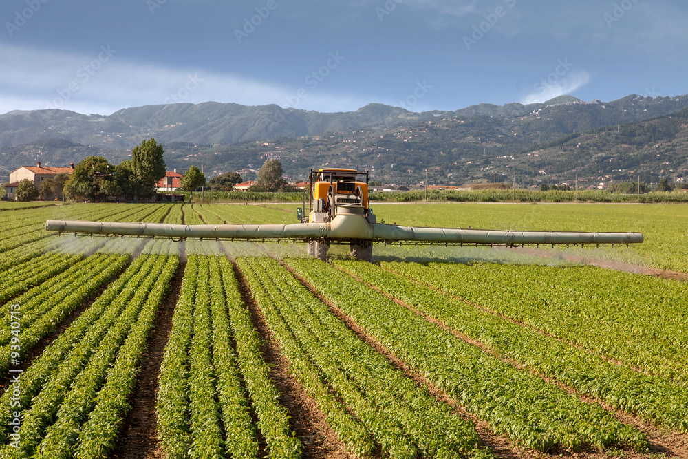 Obraz premium agriculture, tractor spraying pesticides on field farm