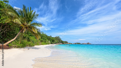 Beautiful landscape of blue sky coconut sea sand and waves on the beach during summer at Koh Miang island in Mu Ko Similan National Park  Phang Nga province  Thailand  16 9 widescreen