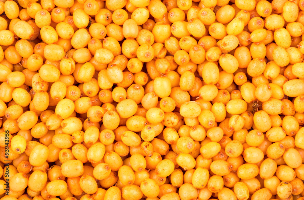 Buckthorn berries Buckthorn berries