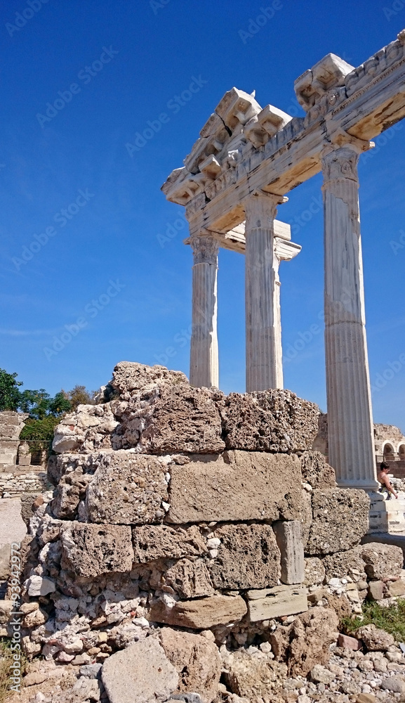 Fototapeta premium temple