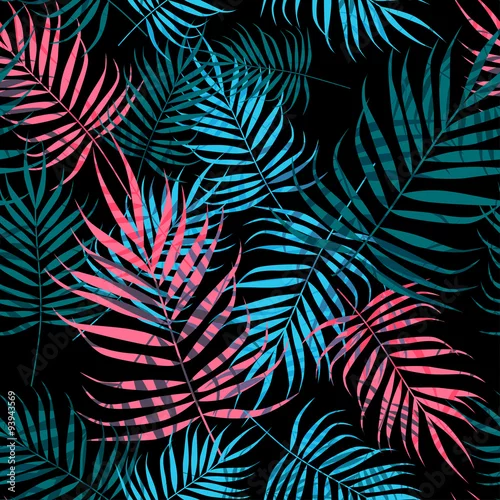 Tapety Liście palmy