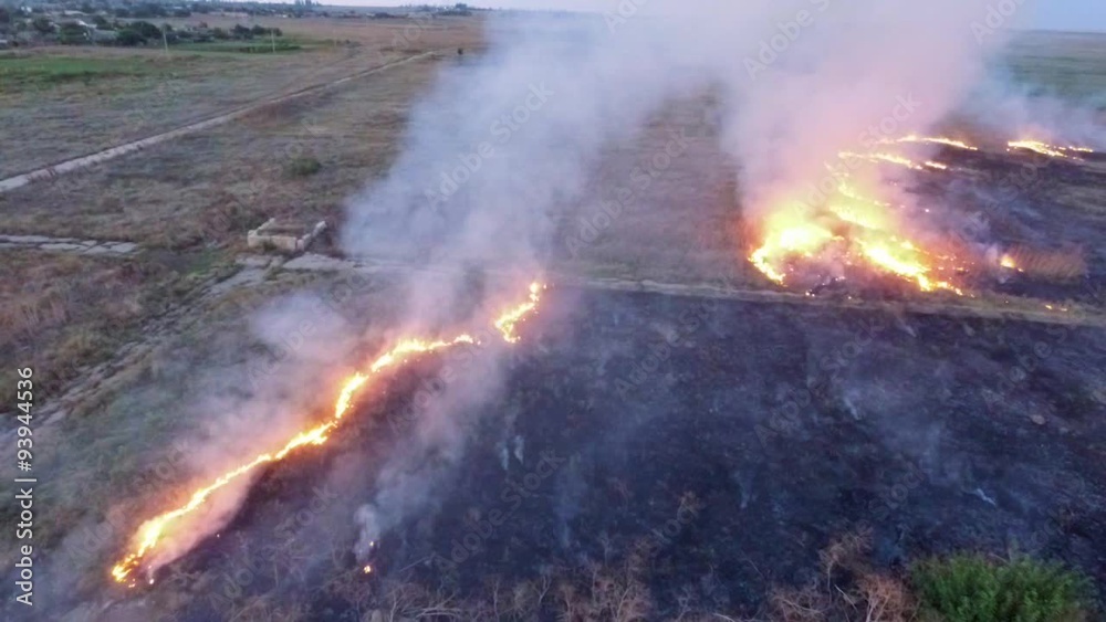 AERIAL VIEW. Dry Grass Of Field Burning In Steppe AERIAL VIEW. Dry Grass Of Field Burning In Steppe