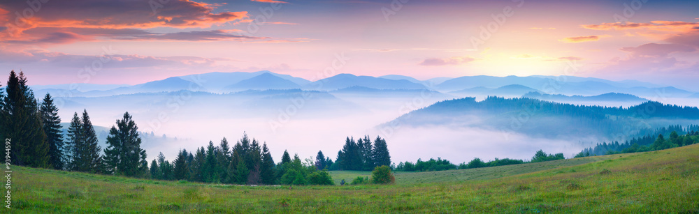 Colorful summer morning in the foggy Carpathian mountains
