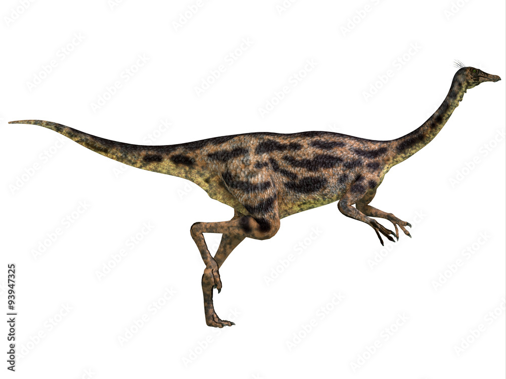 Gallimimus Profile - Gallimimus was an omnivorous dinosaur that lived in Mongolia during the Cretaceous Period. Gallimimus Profile - Gallimimus was an omnivorous dinosaur that lived in Mongolia during the Cretaceous Period.
