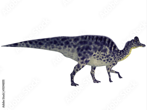 Velafrons Dinosaur Profile - Velafrons was a large herbivorous Hadrosaur dinosaur that lived in Mexico during the Cretaceous Period.