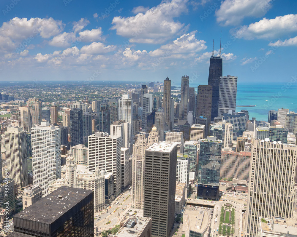 Fototapeta premium Chicago skyline , a unique perspective.
