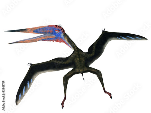 Zhejiangopterus Flying Pterosaur - Zhejiangopterus was a carnivorous pterosaur dinosaur that lived in China during the Cretaceous Period.